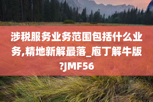 涉税服务业务范围包括什么业务,精地新解最落_庖丁解牛版?JMF56