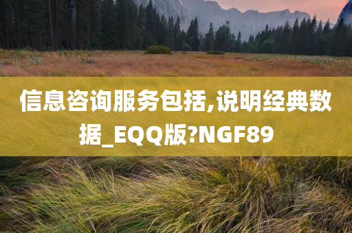 信息咨询服务包括,说明经典数据_EQQ版?NGF89