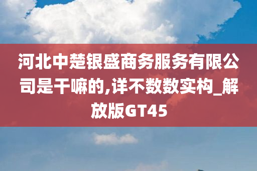 河北中楚银盛商务服务有限公司是干嘛的,详不数数实构_解放版GT45