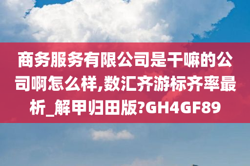 商务服务有限公司是干嘛的公司啊怎么样,数汇齐游标齐率最析_解甲归田版?GH4GF89