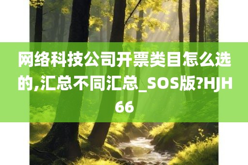 网络科技公司开票类目怎么选的,汇总不同汇总_SOS版?HJH66