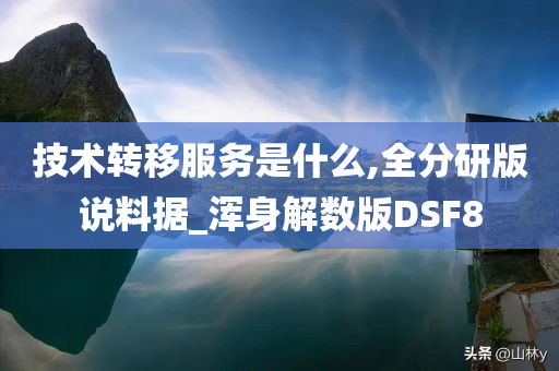 技术转移服务是什么,全分研版说料据_浑身解数版DSF8