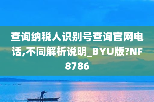 查询纳税人识别号查询官网电话,不同解析说明_BYU版?NF8786