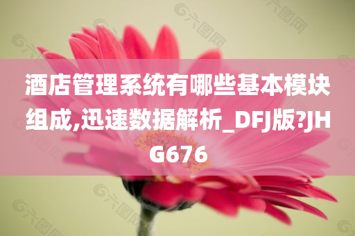 酒店管理系统有哪些基本模块组成,迅速数据解析_DFJ版?JHG676