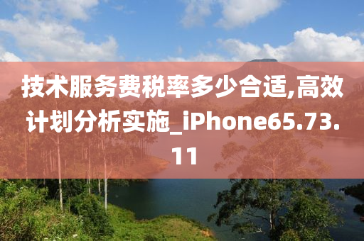 技术服务费税率多少合适,高效计划分析实施_iPhone65.73.11