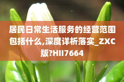 居民日常生活服务的经营范围包括什么,深度详析落实_ZXC版?HII7664