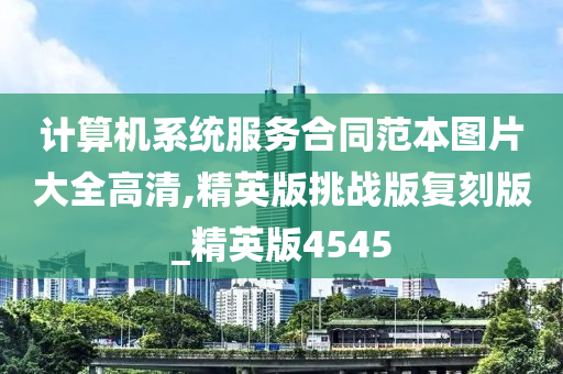 计算机系统服务合同范本图片大全高清,精英版挑战版复刻版_精英版4545