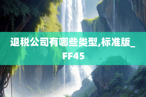 退税公司有哪些类型,标准版_FF45