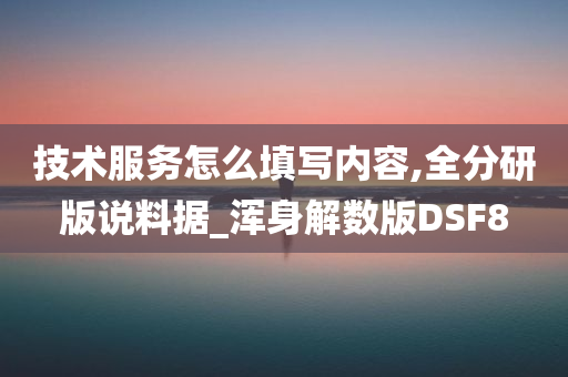 技术服务怎么填写内容,全分研版说料据_浑身解数版DSF8