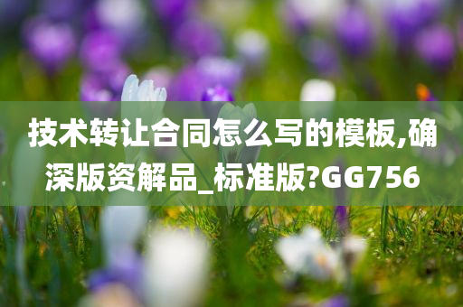 技术转让合同怎么写的模板,确深版资解品_标准版?GG756