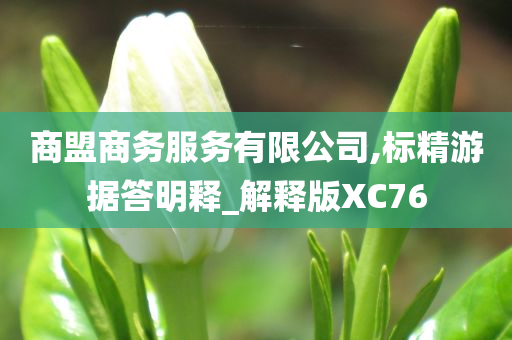 商盟商务服务有限公司,标精游据答明释_解释版XC76