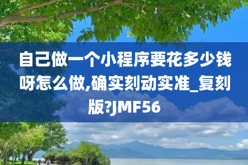 自己做一个小程序要花多少钱呀怎么做,确实刻动实准_复刻版?JMF56