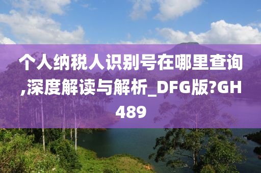 个人纳税人识别号在哪里查询,深度解读与解析_DFG版?GH489