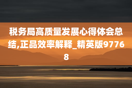 税务局高质量发展心得体会总结,正品效率解释_精英版97768