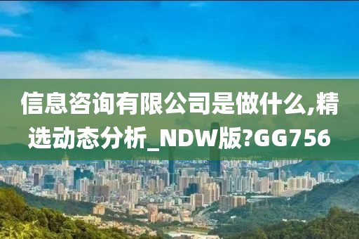 信息咨询有限公司是做什么,精选动态分析_NDW版?GG756