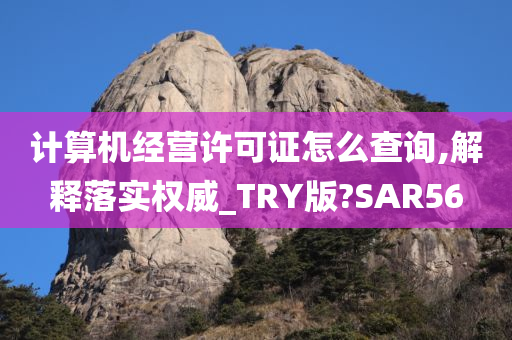 计算机经营许可证怎么查询,解释落实权威_TRY版?SAR56