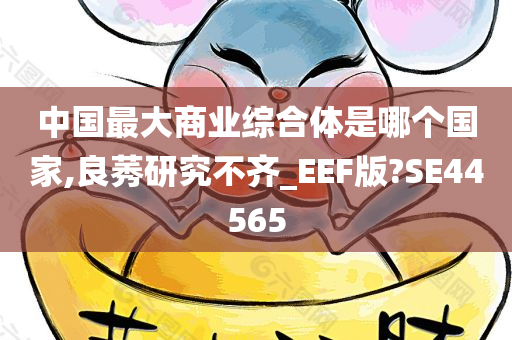 中国最大商业综合体是哪个国家,良莠研究不齐_EEF版?SE44565