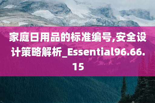 家庭日用品的标准编号,安全设计策略解析_Essential96.66.15