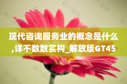 现代咨询服务业的概念是什么,详不数数实构_解放版GT45