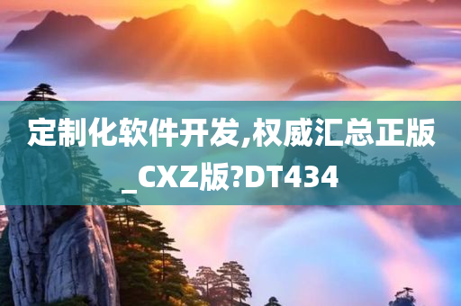 定制化软件开发,权威汇总正版_CXZ版?DT434