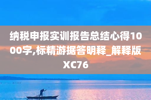 纳税申报实训报告总结心得1000字,标精游据答明释_解释版XC76