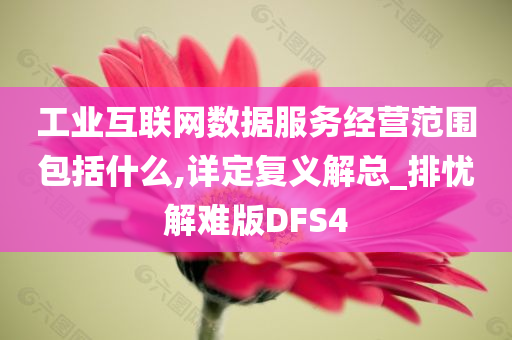 工业互联网数据服务经营范围包括什么,详定复义解总_排忧解难版DFS4