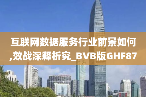 互联网数据服务行业前景如何,效战深释析究_BVB版GHF87