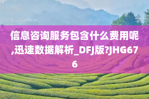 信息咨询服务包含什么费用呢,迅速数据解析_DFJ版?JHG676