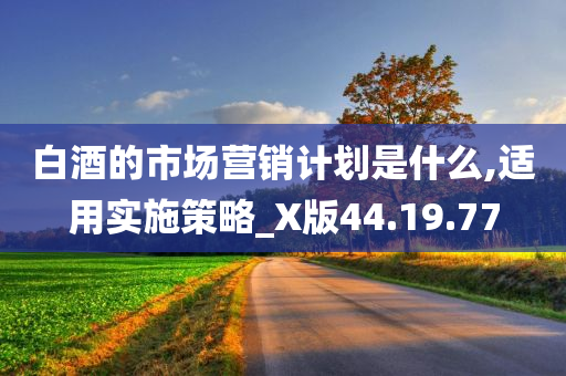 白酒的市场营销计划是什么,适用实施策略_X版44.19.77