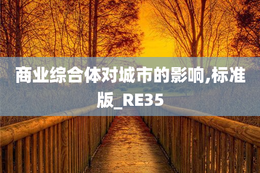 商业综合体对城市的影响,标准版_RE35