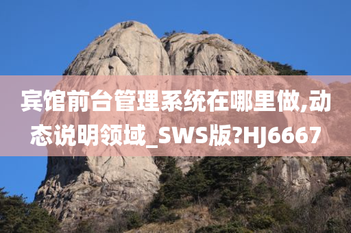 宾馆前台管理系统在哪里做,动态说明领域_SWS版?HJ6667