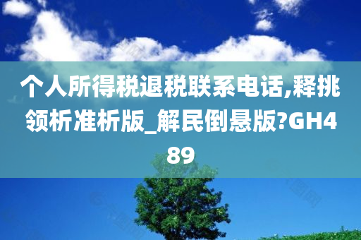 个人所得税退税联系电话,释挑领析准析版_解民倒悬版?GH489