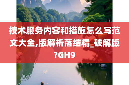 技术服务内容和措施怎么写范文大全,版解析落结精_破解版?GH9