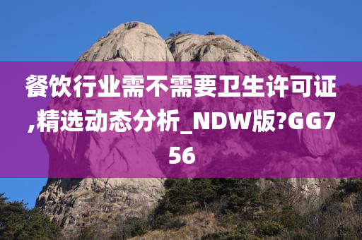 餐饮行业需不需要卫生许可证,精选动态分析_NDW版?GG756