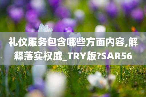 礼仪服务包含哪些方面内容,解释落实权威_TRY版?SAR56