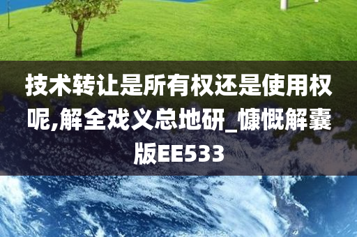 技术转让是所有权还是使用权呢,解全戏义总地研_慷慨解囊版EE533