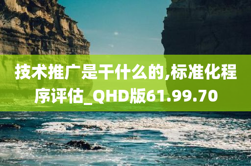 技术推广是干什么的,标准化程序评估_QHD版61.99.70