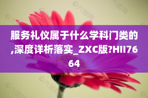 服务礼仪属于什么学科门类的,深度详析落实_ZXC版?HII7664