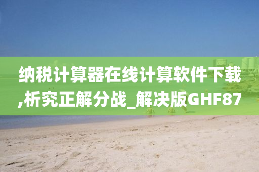 纳税计算器在线计算软件下载,析究正解分战_解决版GHF87