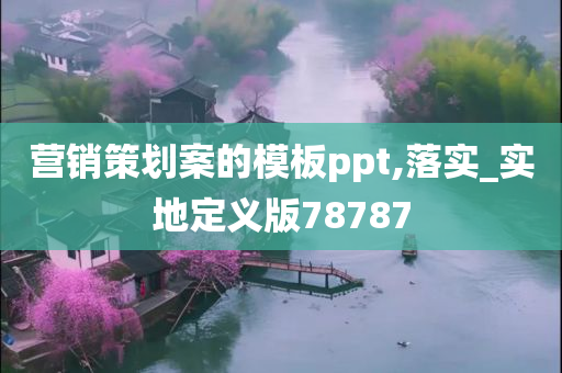 营销策划案的模板ppt,落实_实地定义版78787