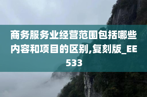 商务服务业经营范围包括哪些内容和项目的区别,复刻版_EE533