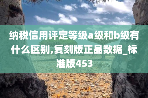 纳税信用评定等级a级和b级有什么区别,复刻版正品数据_标准版453