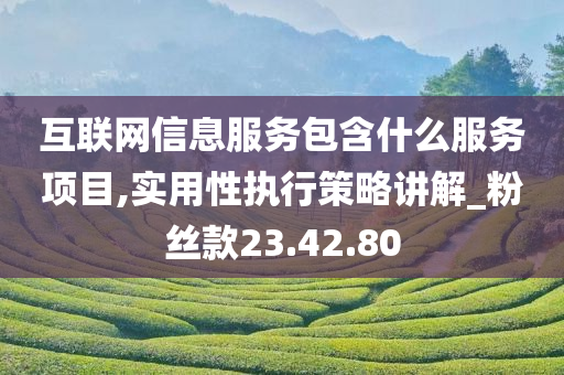 互联网信息服务包含什么服务项目,实用性执行策略讲解_粉丝款23.42.80