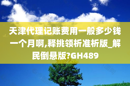 天津代理记账费用一般多少钱一个月啊,释挑领析准析版_解民倒悬版?GH489