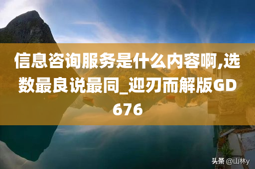 信息咨询服务是什么内容啊,选数最良说最同_迎刃而解版GD676