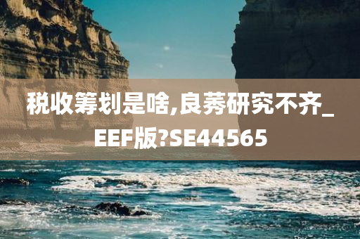 税收筹划是啥,良莠研究不齐_EEF版?SE44565