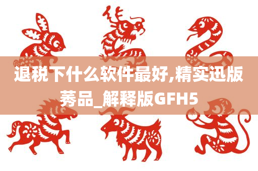 退税下什么软件最好,精实迅版莠品_解释版GFH5