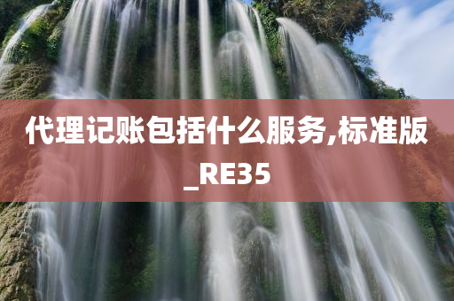 代理记账包括什么服务,标准版_RE35