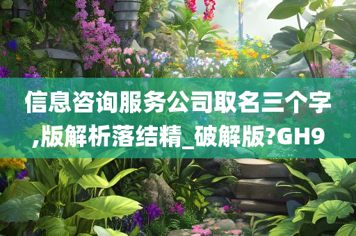 信息咨询服务公司取名三个字,版解析落结精_破解版?GH9