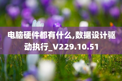 电脑硬件都有什么,数据设计驱动执行_V229.10.51